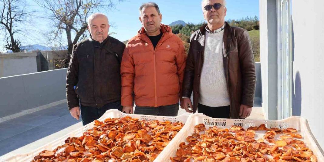 Yaşı 60 TL, kurusu 650 TL! Mahallede kurulan tesiste kurutuldu: İlk ihracat Almanya’ya yapıldı 4